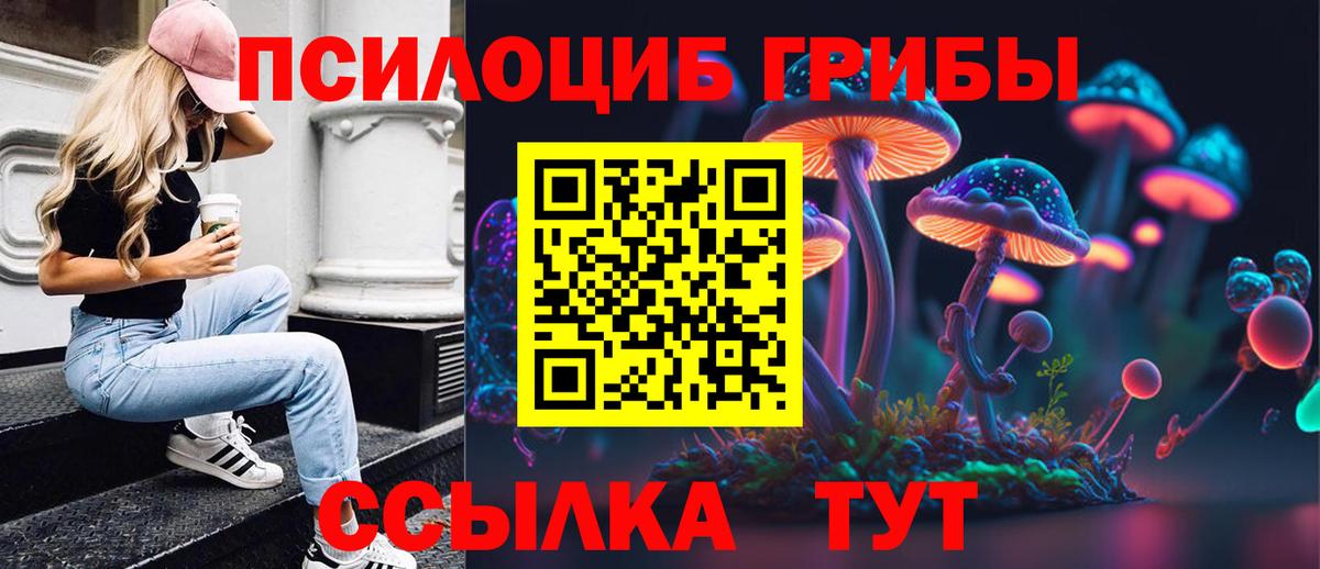 Бугуруслан  как найти закладки  Вход с VPN  Галлюциногенные грибы MAGIC MUSHROOMS  Псилоцибиновые грибы GOLDEN TEACHER 